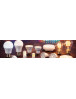 Becuri LED E27